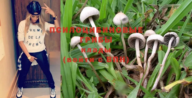 Галлюциногенные грибы Magic Shrooms  Зима 